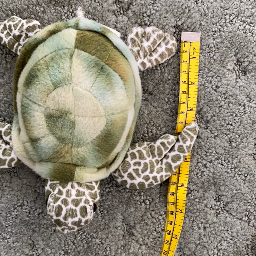 Cute turtle - Picture 4 of 4